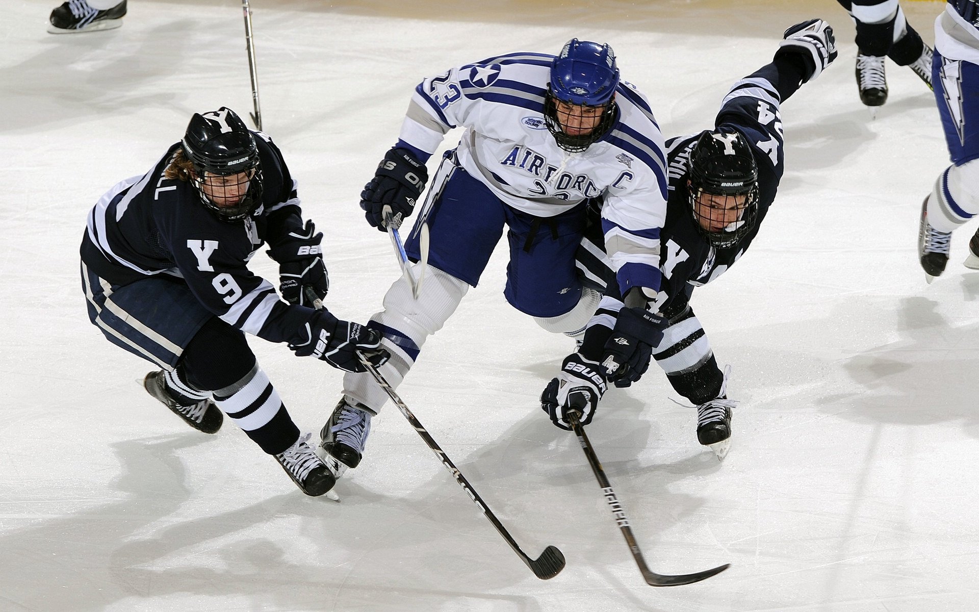 伊朗队在巴黎奥运会比赛中展现出高效的快攻配合，伊朗 奥运