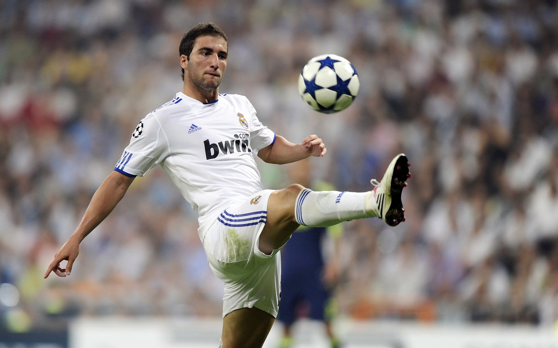 名人表演赛：娱乐与竞技的完美结合